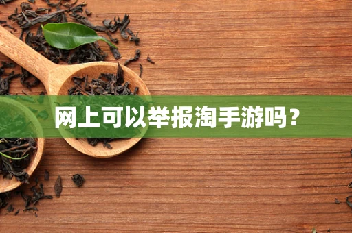 网上可以举报淘手游吗？