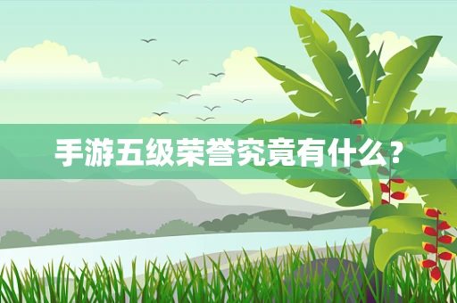 手游五级荣誉究竟有什么？