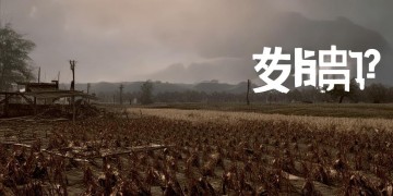 饥荒手游究竟什么时候可以玩？