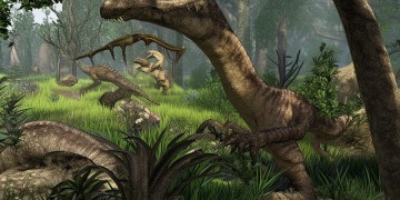 方舟手游里螺吃什么饲料呢？