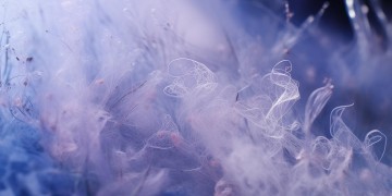 千手扉间手游配乐究竟叫什么？